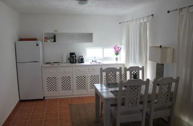 Bayahibe Guesthouse Apartment kitchen